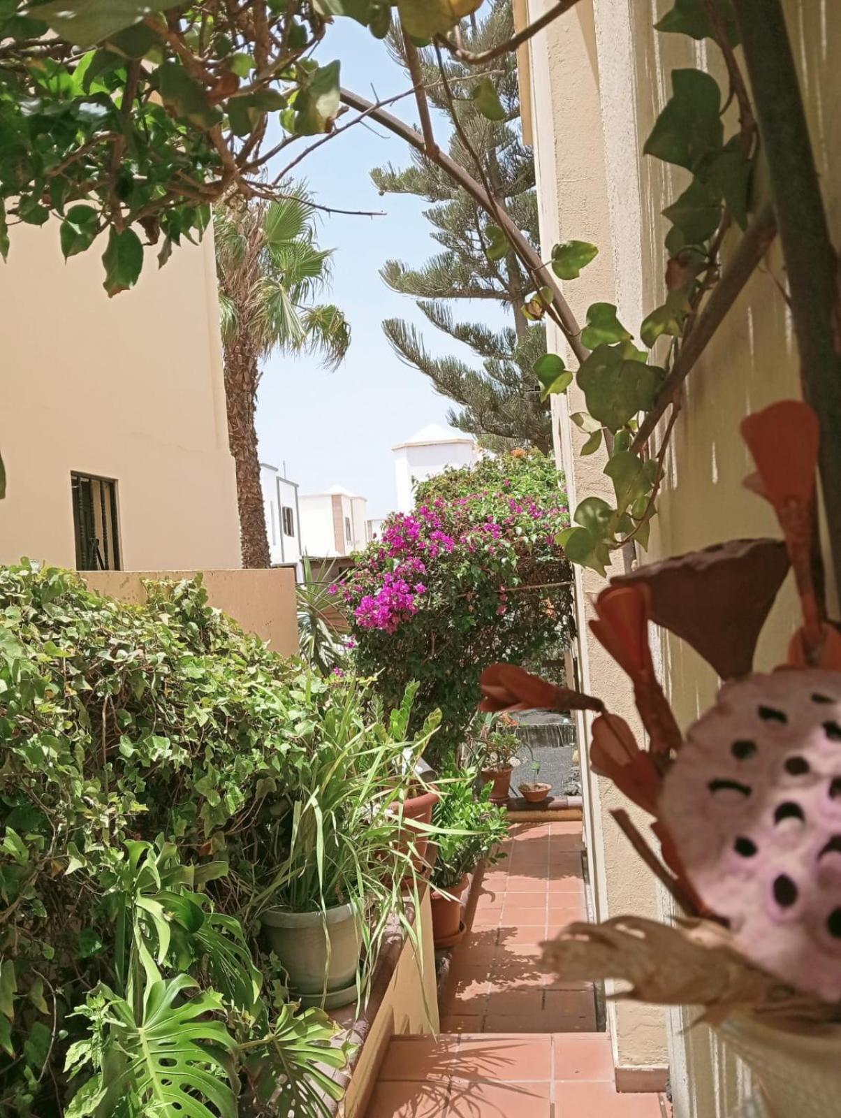 Casa Noray 18 Daire Playa Honda  Dış mekan fotoğraf